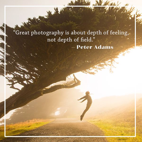 TheStudioWLV's tweet photo. Be the artist that sparks inspiration in others.
.
.
.
#photography #inspiration #artistsinspire #depthoffield #depthoffeeling #naturephotography #portraitphotography #inspirationalphotography #photographer #newburyphotographer #motivationalmonday # https://t.co/3ltl9OuT3p