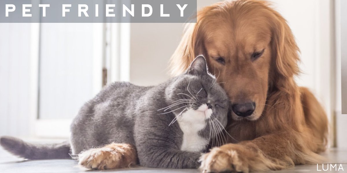 LumaApts's tweet photo. We have the purr-fect home for you &amp; your four-legged friends! Contact us to find out more about our #PetFriendly amenities! 😁🐈🐕❤️ https://t.co/Nw8zQ1wLrN