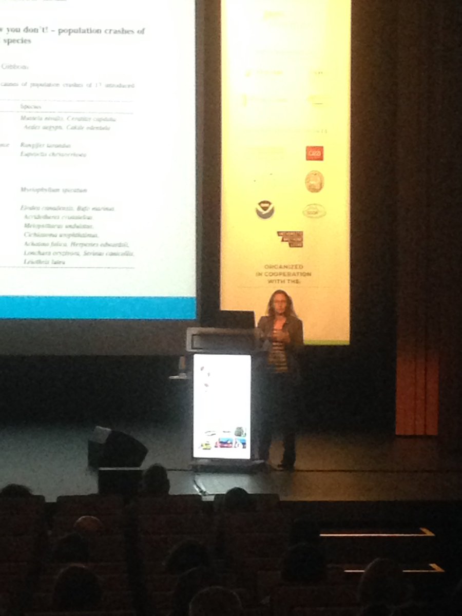 antonella penna tweet media