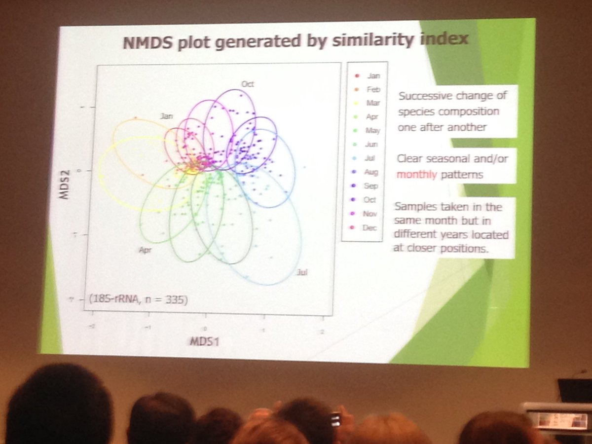 antonella penna tweet media