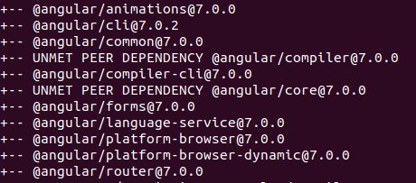 Upgrade auf Angular 7.0.0 und neue Nginx Versionen