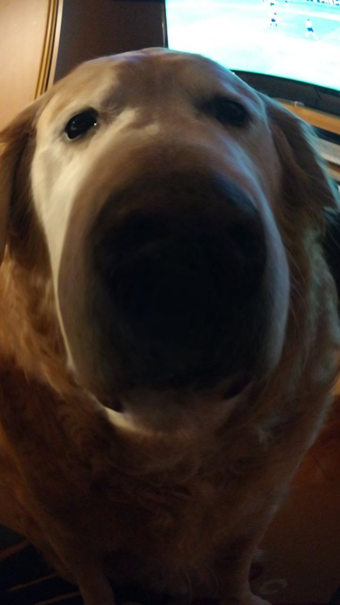 Набериус. (@demonnn_666) | Twitter