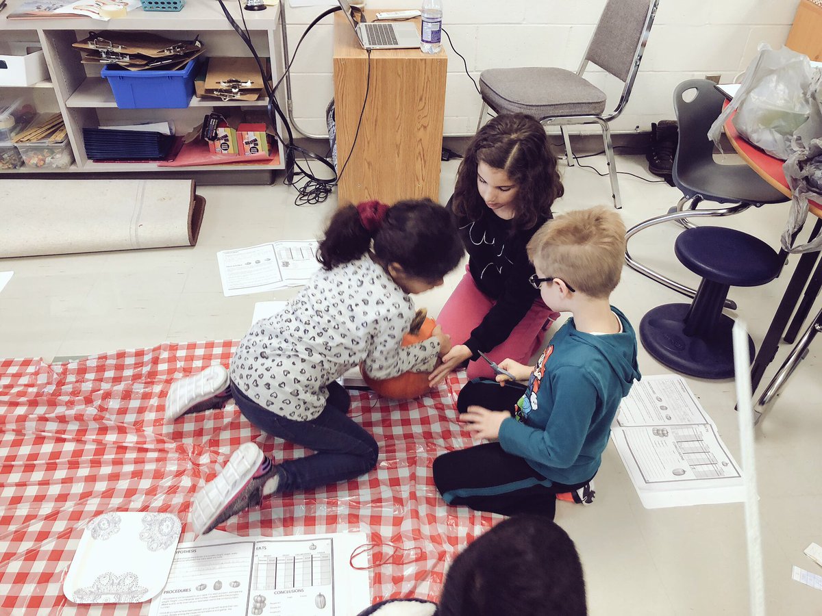MKnowles_2's tweet photo. Ask Me About: Our Pumpkin Inquiry! Today we began to explore if any characteristic of a pumpkin (the height, weight, or circumference) are related to the number of seeds inside! Stay tuned for tomorrow as we analyze our data! #pumpkinsareFUN https://t.co/P7FwLYIIRP
