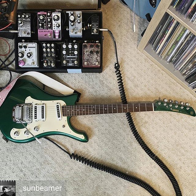 drolo on Twitter: "@Regran_ed from @_sunbeamer - Flying samurai in the  house! . . . . #yamaha #sgv #guitar #guitars #pedals #pedalboard  #smallsoundbigsound #electronicaudioexperiments #chaseblissaudio #drolo  #hungryrobotpedals #deathbyaudio ...