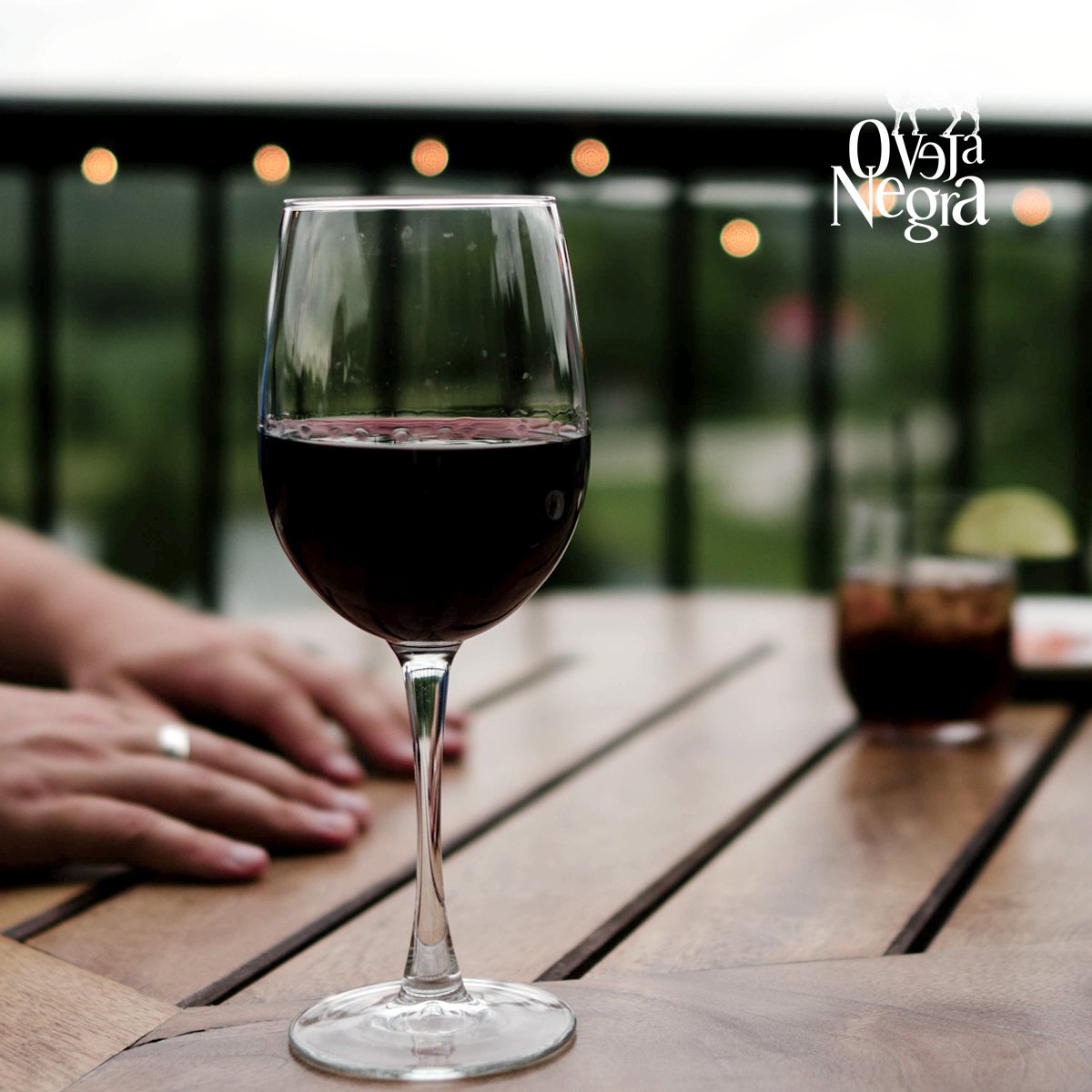 ¡Qué comiencen los días de terraza! #VinosOvejaNegra