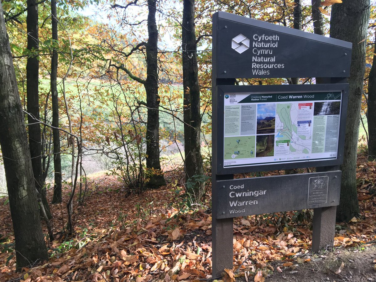 hgalliford's tweet photo. Great to get up into the #radnor hills this weekend despite the bitter cold. Visited stunning @NatResWales #radnorforest near where I grew up. And got to put my #TeamNRW water bottle to good use too! https://t.co/rlRHrVU0Qm
