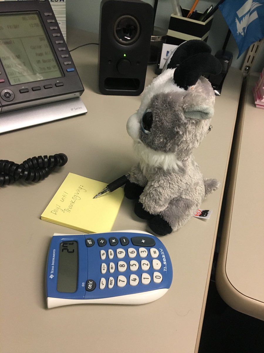 Roscoe is working hard doing some calculations! #insurance #MondayMotivaton