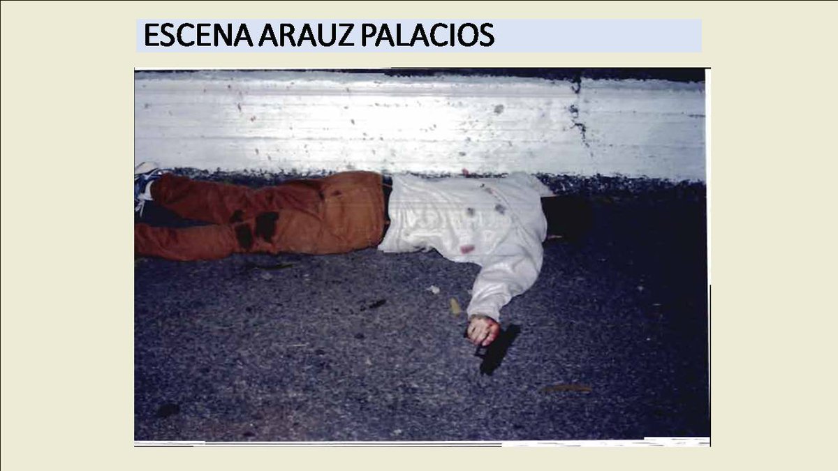 Foto embed
