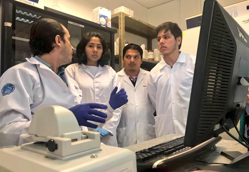 CIBB_CIBE's tweet photo. Con gran acogida inició el Curso Postcongreso: Identificación molecular de microorganismos. Agradecemos la participación de los asistentes #CIBB2018 https://t.co/P53IMqHpCY