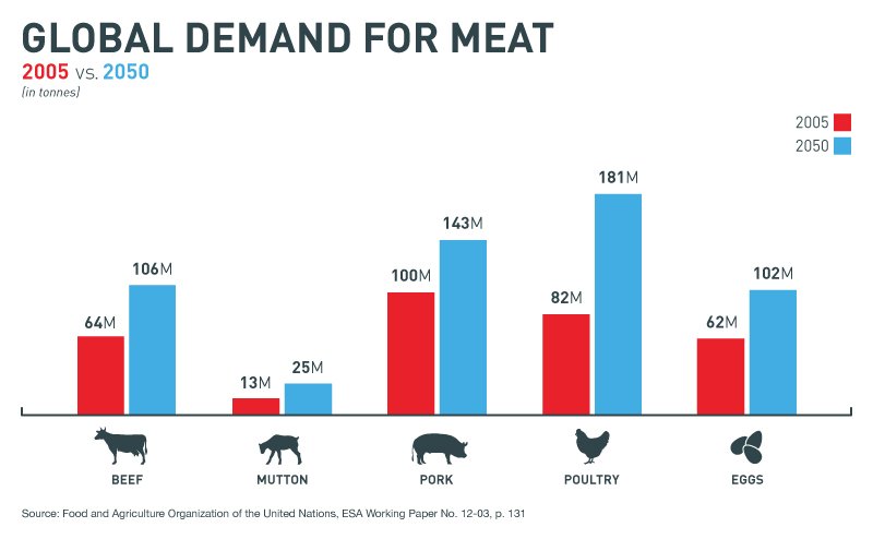 BryanCr78856509's tweet photo. Meats contain nutrients (fatty acids, minerals). The genetics of a meat can change the bio availability of these nutrients. To combat global malnutrition, producers should look to the lab to increase meats quality/quantity. @UofGFoodProf #Food2150 #Listrat https://t.co/njEbDK6Cam https://t.co/2HG8WdYKEL