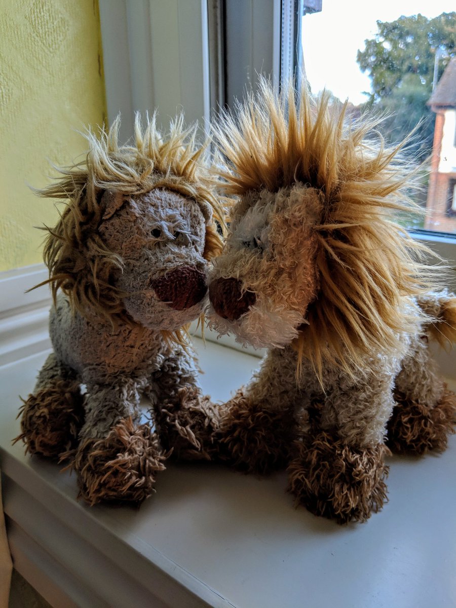 My brother Leonardo has come home to live with us and <a href="/Ponders14/">Mr Ponders</a> .  I am one happy Fido..😍