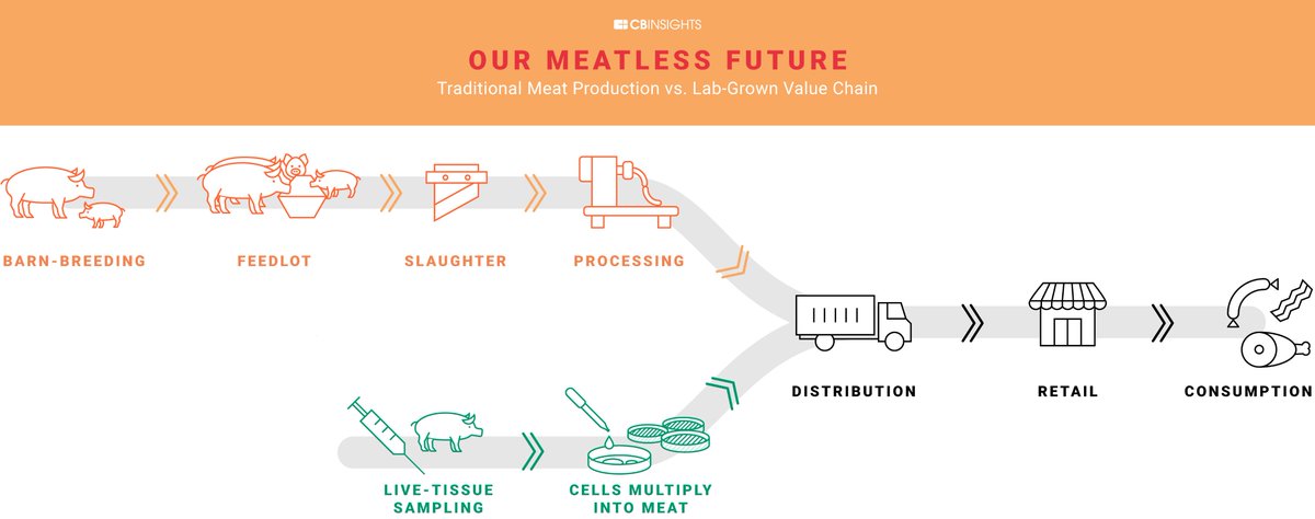 BryanCr78856509's tweet photo. Meats contain nutrients (fatty acids, minerals). The genetics of a meat can change the bio availability of these nutrients. To combat global malnutrition, producers should look to the lab to increase meats quality/quantity. @UofGFoodProf #Food2150 #Listrat https://t.co/njEbDK6Cam https://t.co/2HG8WdYKEL