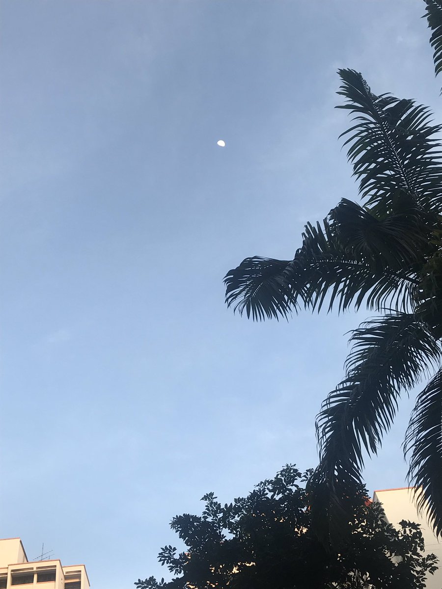 LadyRainz614's tweet photo. I had an inheritance from my father, it was the moon and the sun.
And though I roam all over the world, the spending of it’s never done..
Ernest Hemingway
Good morning, people..
#SUNSHINee #Moon #OldMen 😜
#Jinki #Jonghyun https://t.co/FQB0OFvYQM