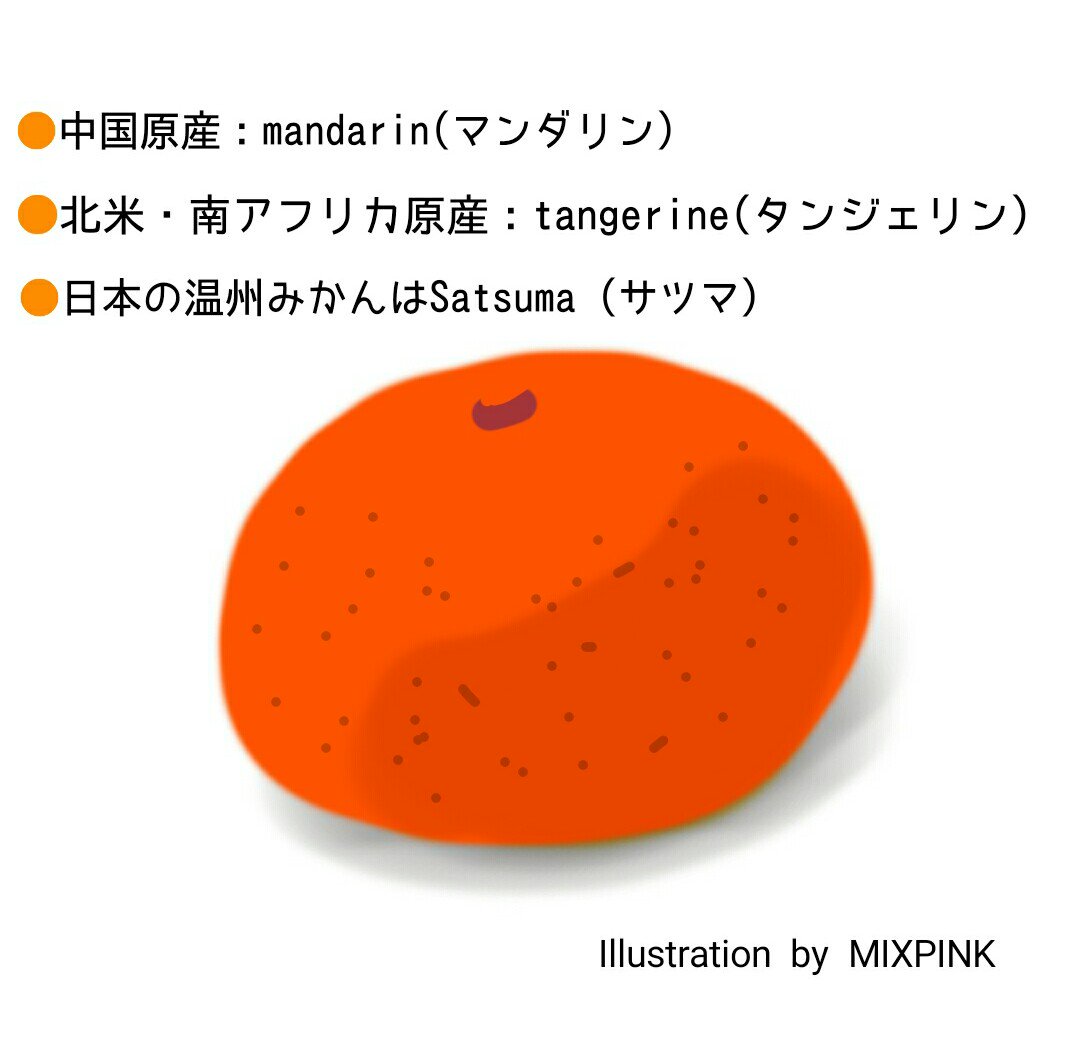 Mixpink 中学の英語 の授業で みかん は Orange オレンジ と教えられ スペルを覚えるために オランゲ と読んだりしてた その後 海外から輸入されたオレンジを見て みかんとは違うことを知った みかんは 原産地によって英語読みが違うという