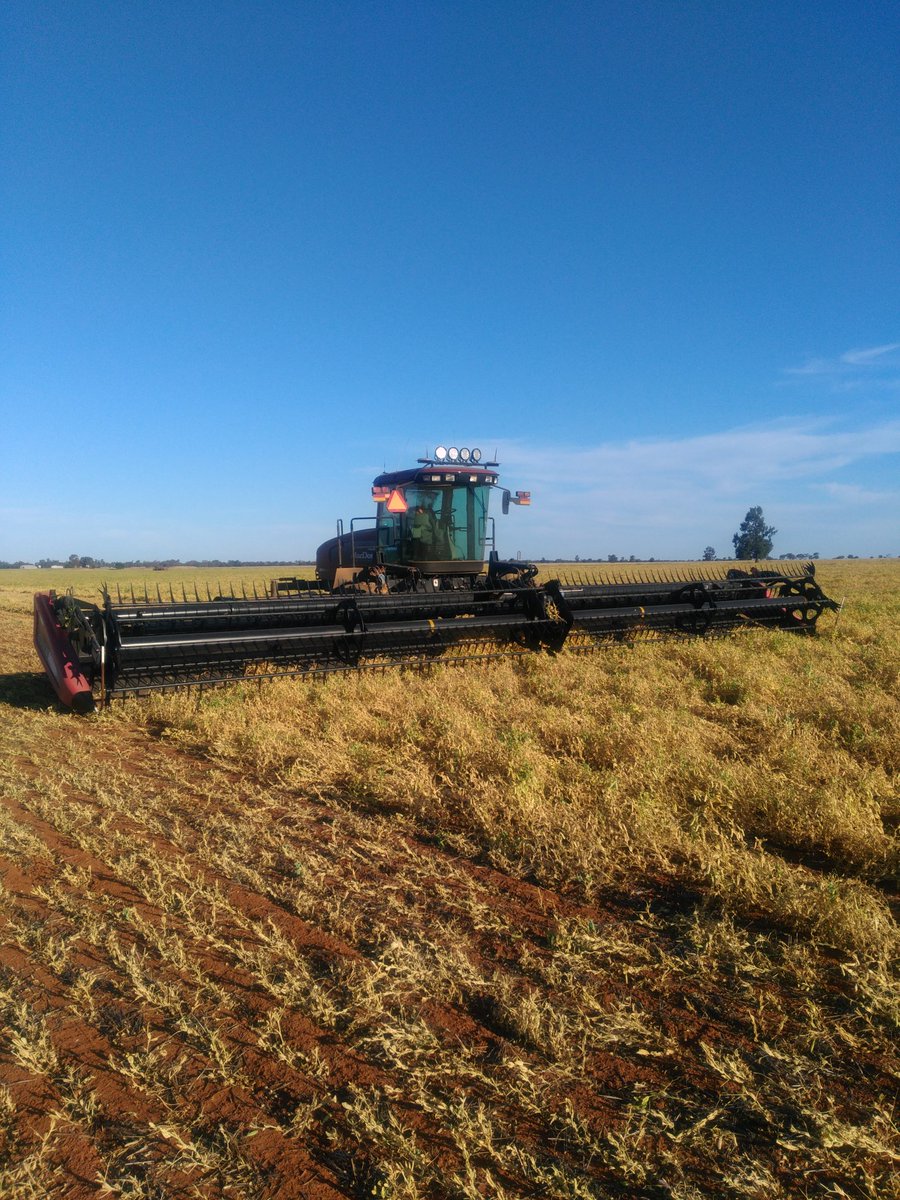 The new 45' front doing a great job in these peas.