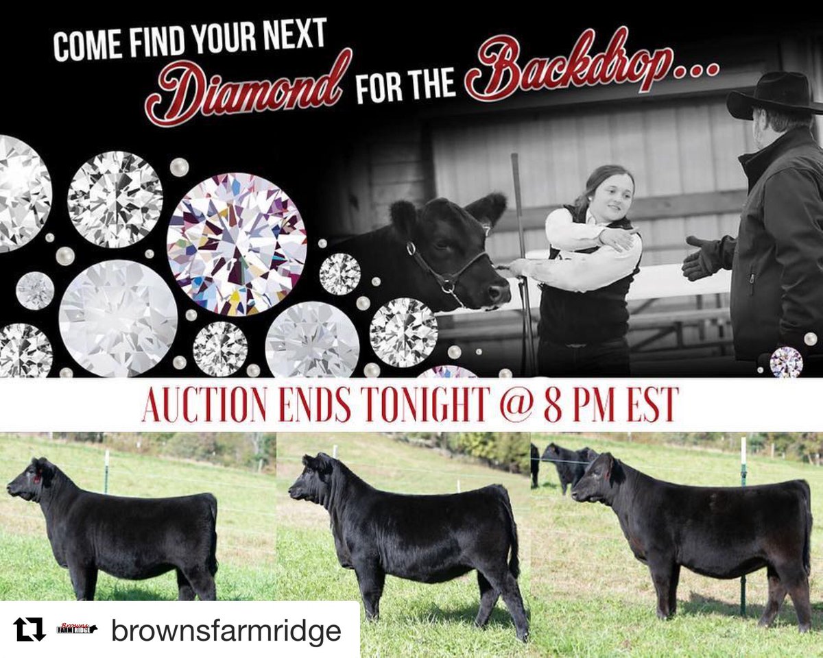 brownsmarketing's tweet photo. #Repost @brownsfarmridge with @get_repost
・・・
Don’t wait to get your “Diamond for the Backdrop!” Bids close tonight 10/29 @ 8pm EST
https://t.co/JzOuzXg0FR https://t.co/wEIpAwJo6T