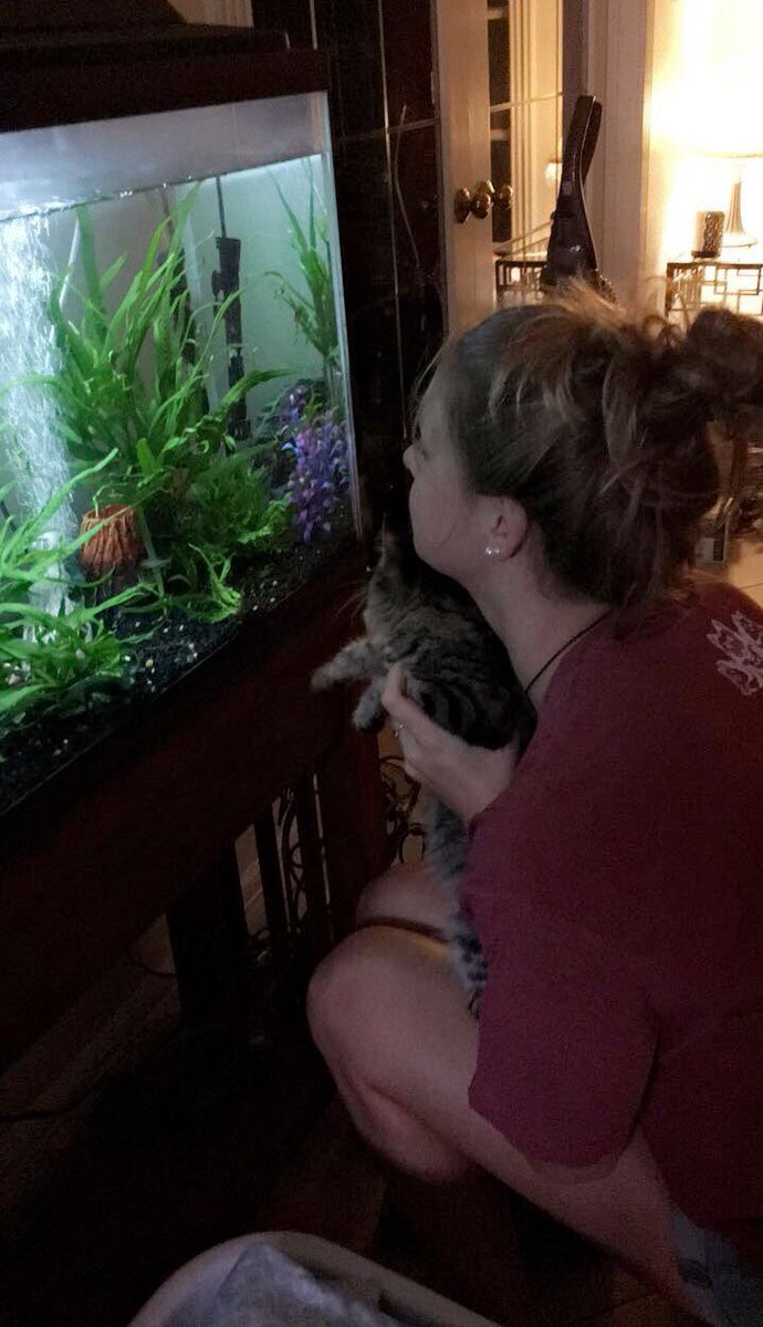 Charlotte Longbottom tweet media