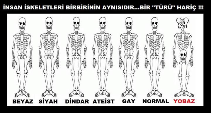 nebe33's tweet photo. din don işlerinin
hepsi aynı 
temelde kadın düşmanı 
homofobik 
emperyalist 
ve faşist
Tevrat https://t.co/KjTHXgfoTD