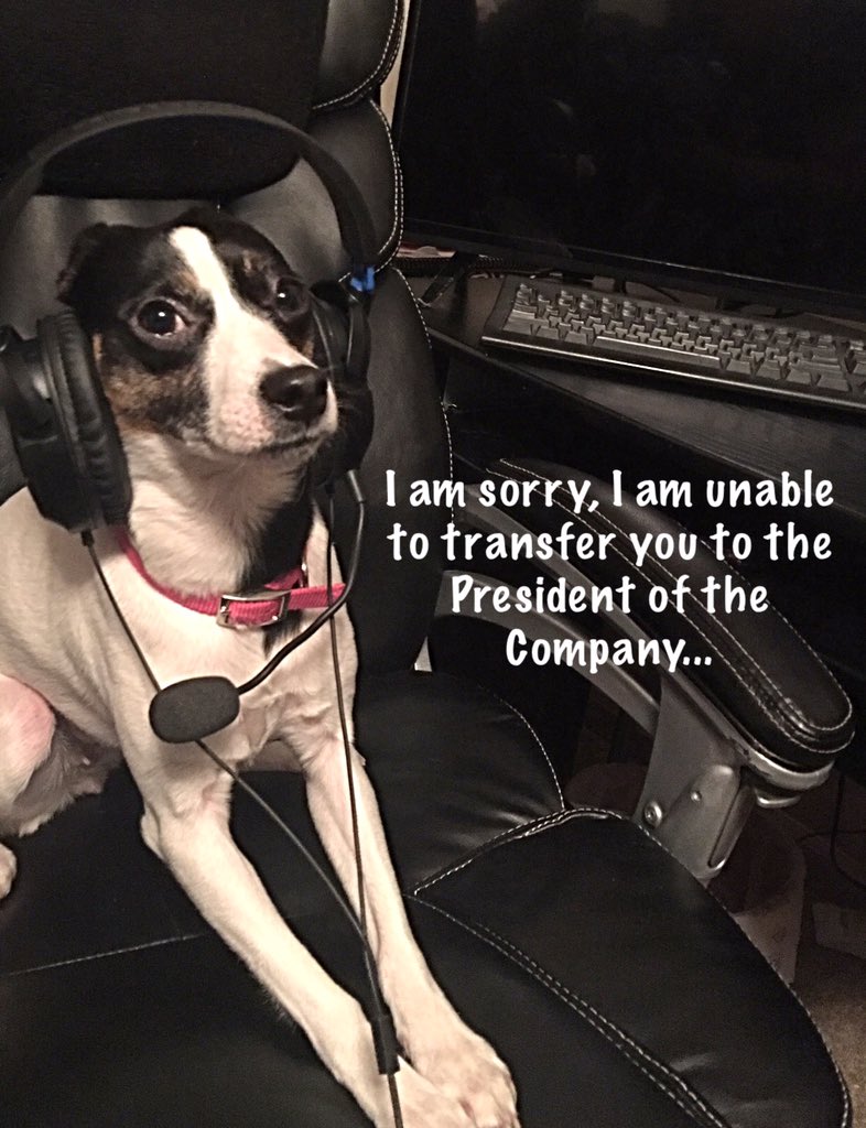 Max_n_Ruby's tweet photo. As a Call Center CSR, I feel the need to offer daily advice to those of you who need to contact one for help...So here it is;
#CallCenterTip 101: 🎧
9/10 times, I would if I could. It's not going to happen, so don't ask. Cussing me out does NOT change this fact. 🤷🏻♀️ https://t.co/uB4ec0ofS9