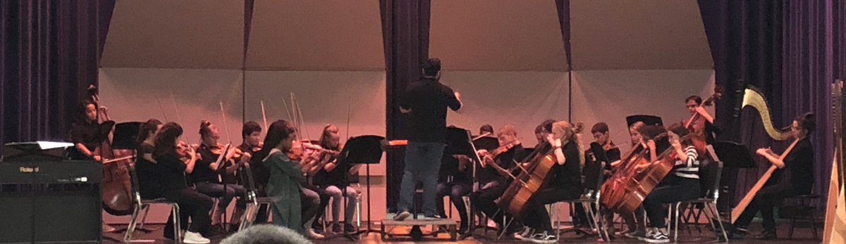 friscofinearts's tweet image. @StaleyMS Orchestra Fall Concert Spooktacular!
#fisdfineartsleads