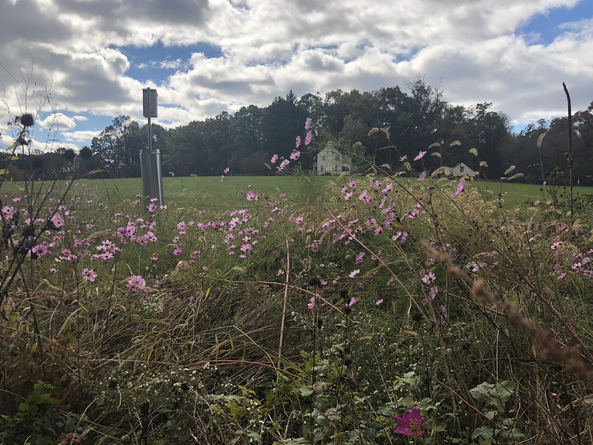 Tweet by Barnesville School of Arts & Sciences