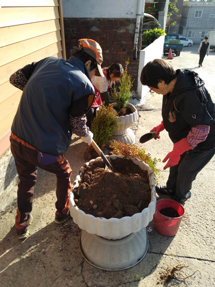 hsjahn1's tweet photo. 상대원2동에서는 관내 가로화분에 식재작업 실시~ 공공근로와 지역공동체 일자리 사업자께서 회양목을 식재하고 있습니다. https://t.co/dualx3tBSs