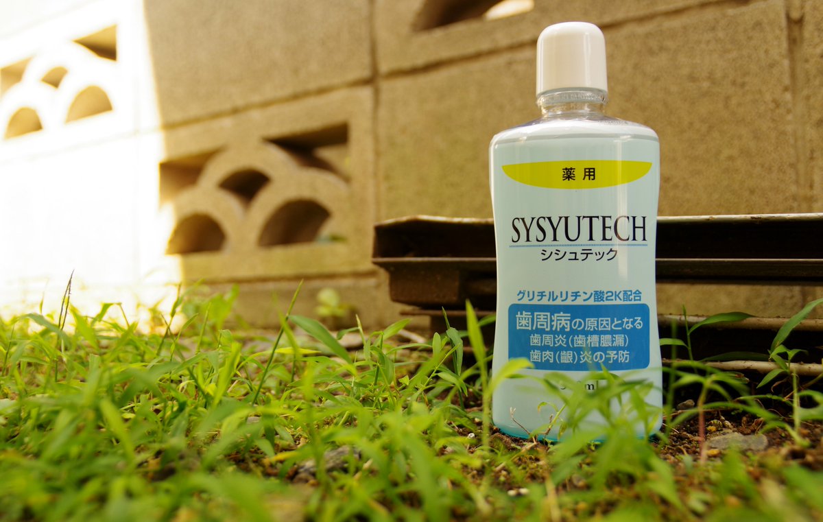 シシュテック公式アカウント Systech Officia Twitter