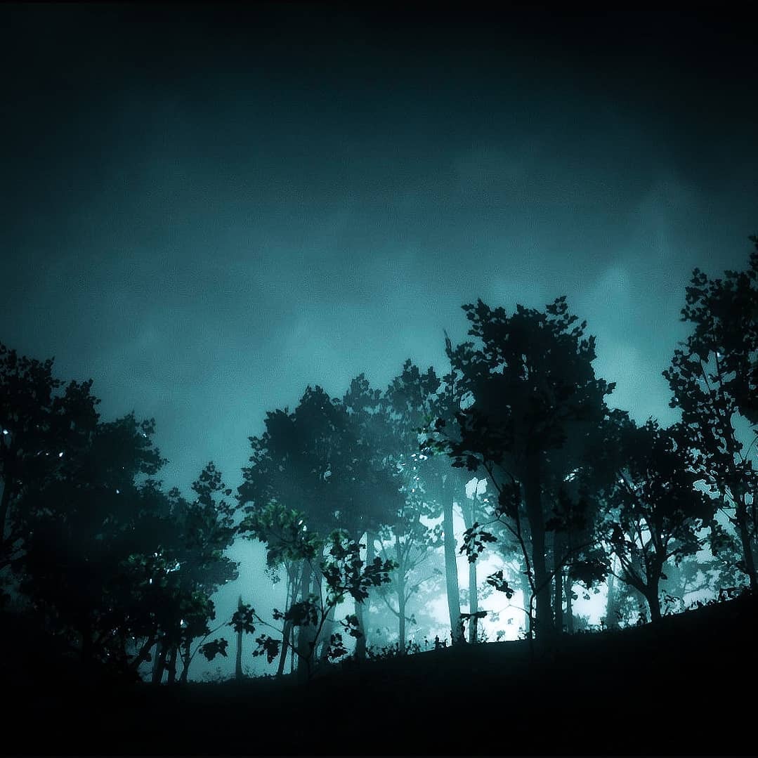 BacheArshi's tweet photo. 🌟
◽◽◽
@RockstarGames #RockstarGames #RedDead #RDR2 #RedDeadRedemption2 
◽◽◽
#SnapmaticArt https://t.co/1VVvUZgh6g