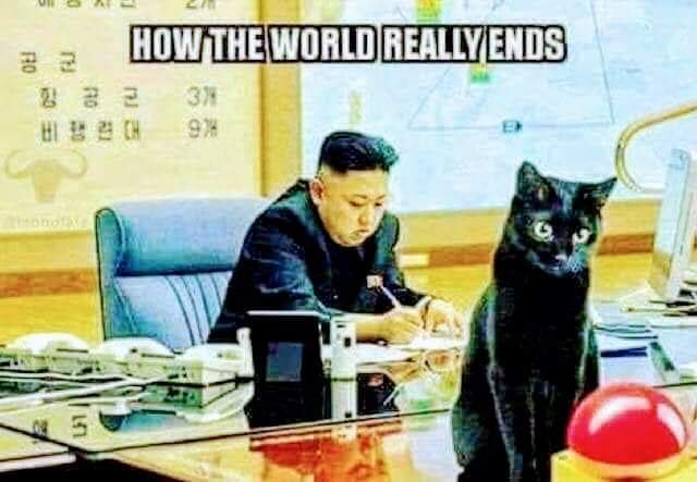Carrie_D_Miller's tweet photo. THIS!!!!!!! #NationalCatDay 
#HowTheWorldEnds
#YouWontSeeItComing https://t.co/JGakU0zdlf