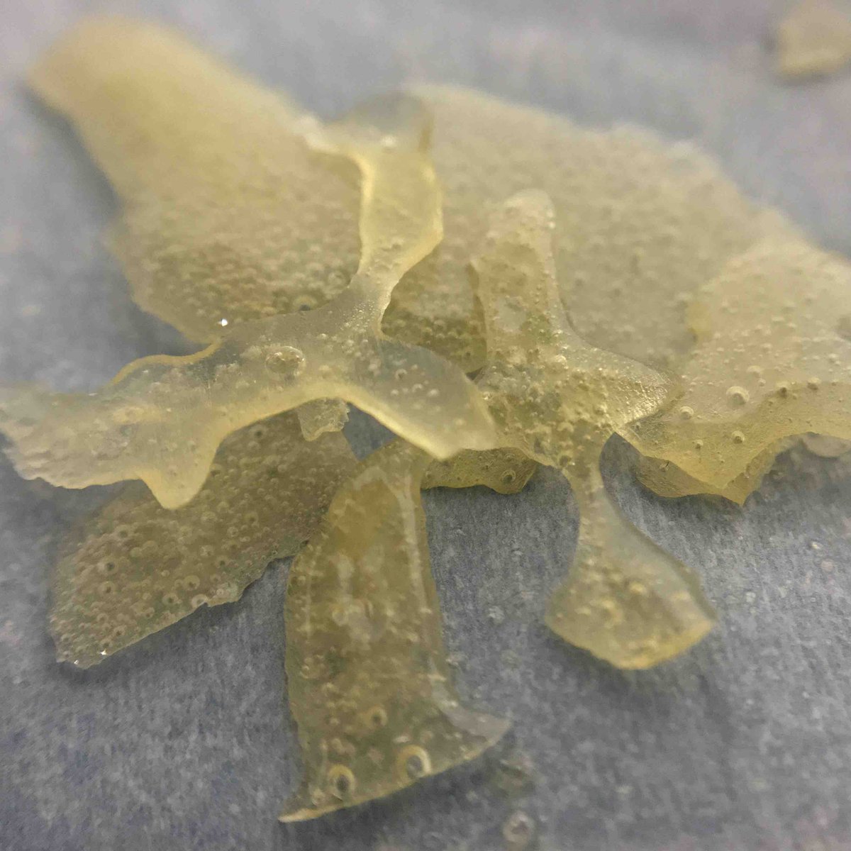 BlvdGreens's tweet photo. Ghost Extract Pink Lemonade!! Cant miss out come check us out for late night cravings! Open until midnight🔥 https://t.co/1cV81690jc