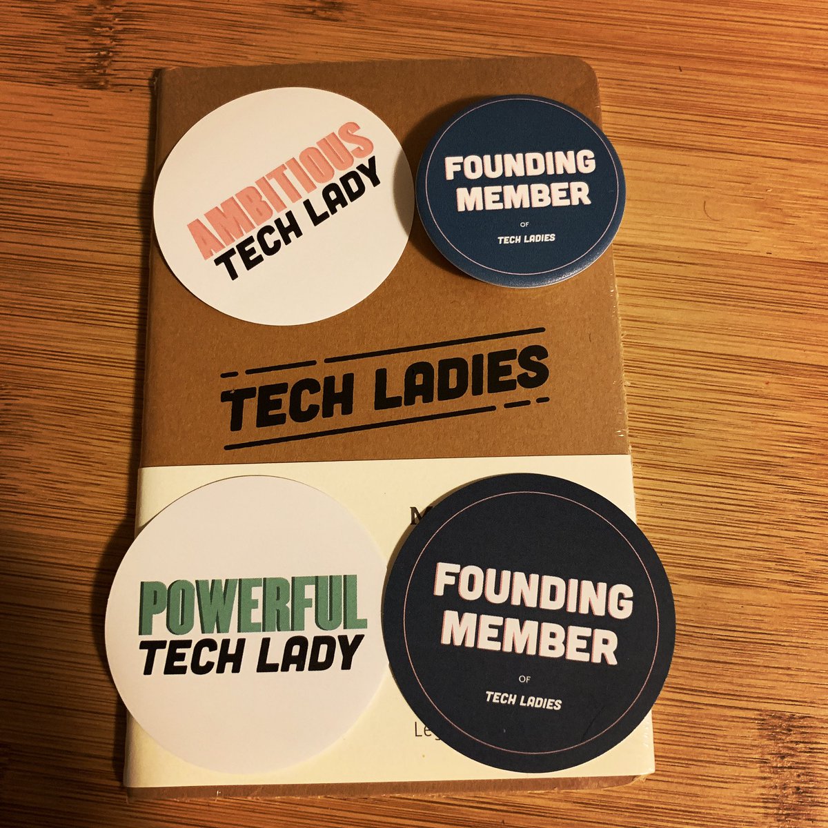 meganberry's tweet image. Got some sweet @HireTechLadies swag! Thanks @techladyallison 💪
#techladies #womenintech