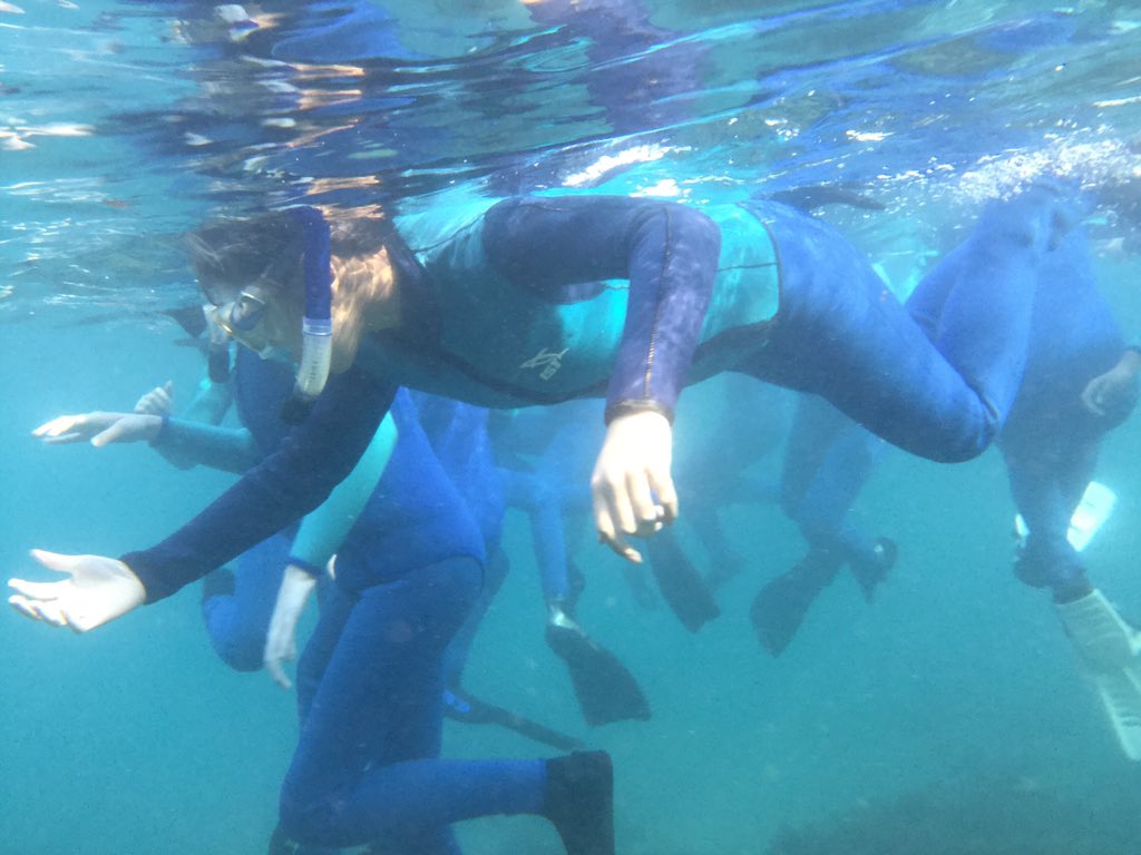 OPtechdude's tweet photo. MCMS students snorkeling at Catalina Island Marine Institute... learning by doing... @oakparkusd #opshares @MedeaCreekMS https://t.co/KYN2Jo6bQ9
