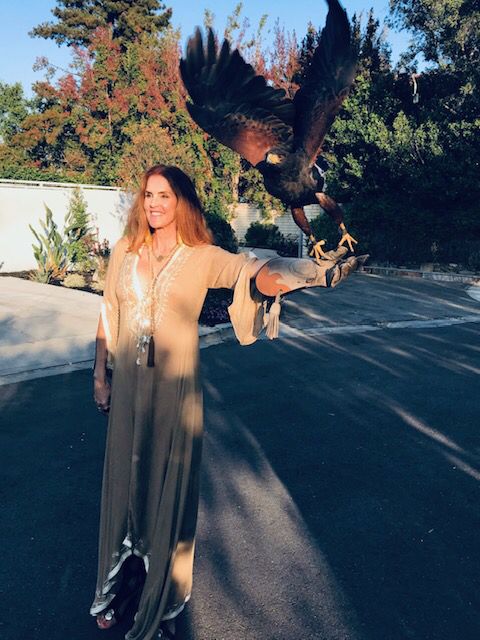 venessablair's tweet photo. What a #majestic #powerful moment! This lady #Falcon took flight with me at the wonderful Mr Hose Nazar’s birthday party. https://t.co/IceQbZt00d