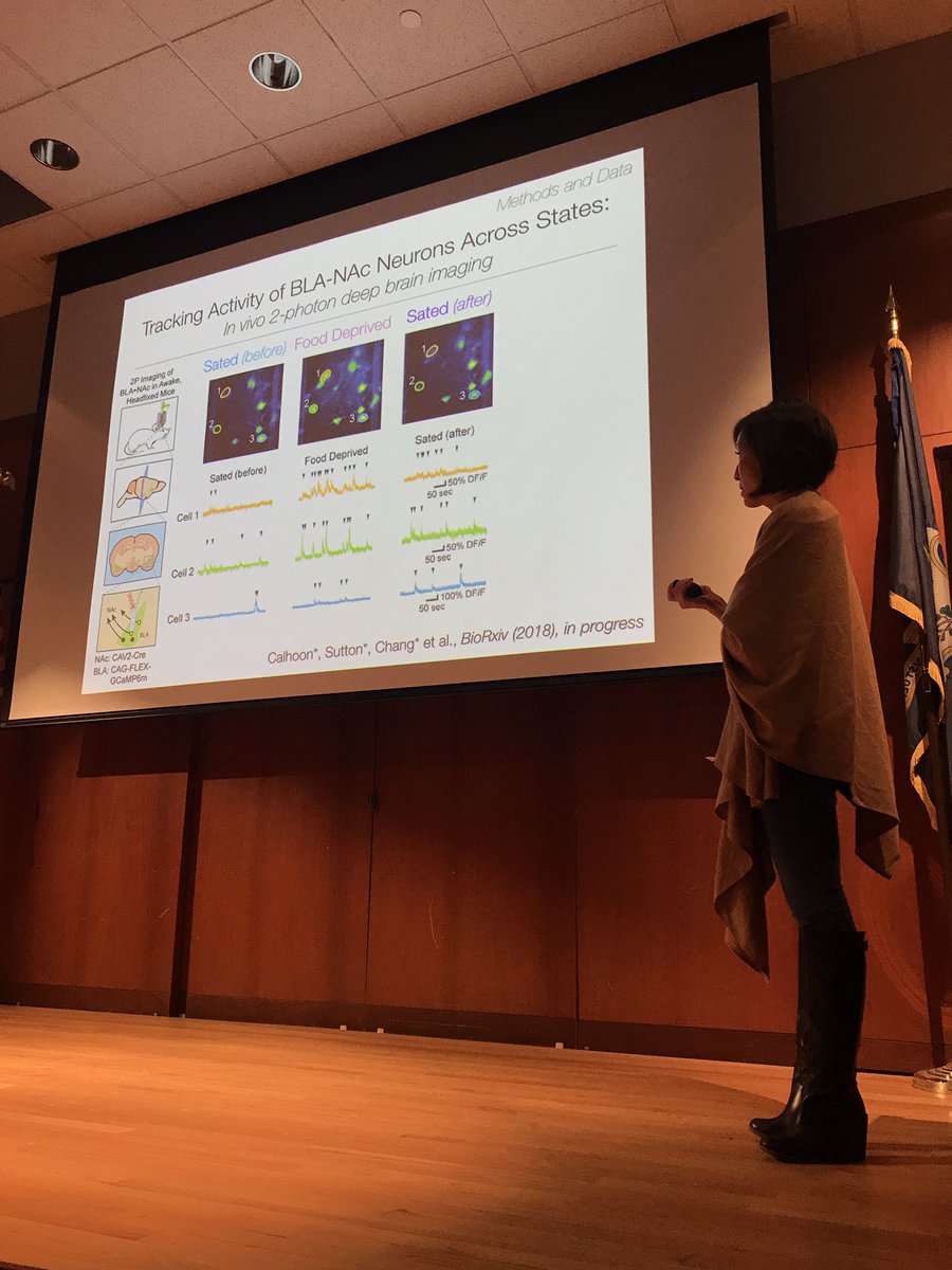 Heather_L_Read's tweet photo. How Brain Circuits Determine Valence #KayTye @kaymtye @UConn https://t.co/qAPivWPiHy