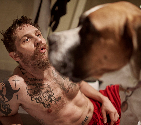 Toshio Shimizu トム ハーディ タトゥー ドッグ Details Magazine 15から By Greg Williams トリヴィア 十代の時 飼っていた愛犬の名はマックス マッドマックス78から命名した Toshio Shimizu トム ハーディ タトゥー ドッグ Details Magazine 15から By Greg Williams トリヴィア 十代の時 飼っていた愛犬の名はマックス マッドマックス78から命名した