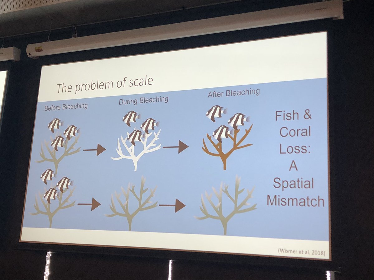 GrettaPecl's tweet photo. Fascinating seminar by @TiffanyJNay from @jcu at @IMASUTAS, hosted by @M_Oellermann. #SpeciesOnTheMove &amp; thermoregatory strategies https://t.co/omVcy1TAy6