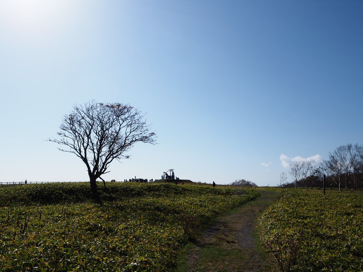 愛冠自然史博物館 Twitter Search Twitter