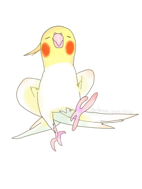 インコイラスト インコイラスト