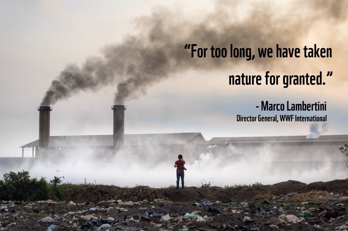 The Living Planet Report 2018