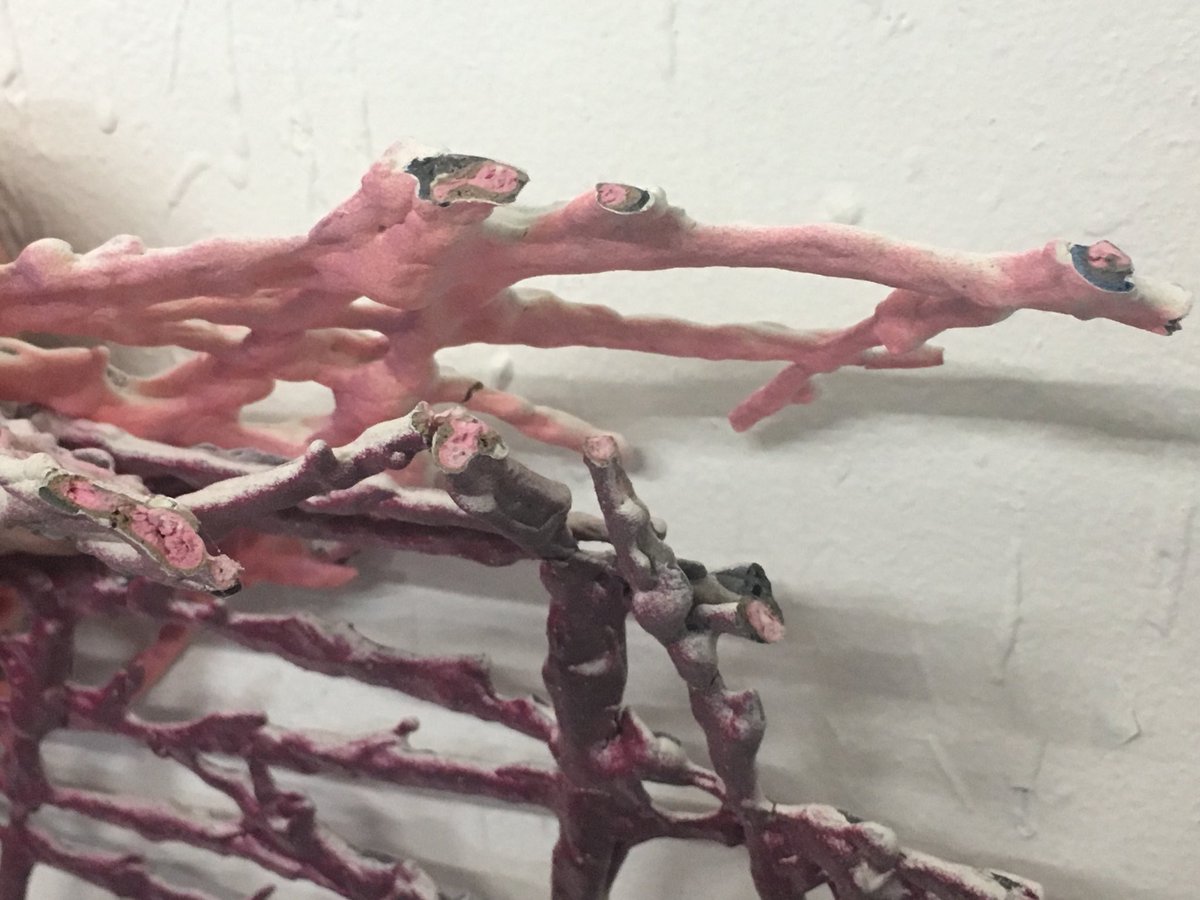 UNIXGallery's tweet image. Maowo o