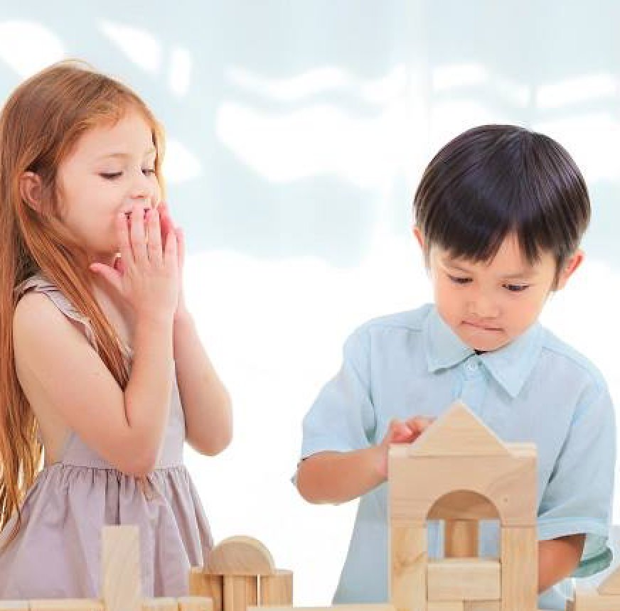 plan toys sale
