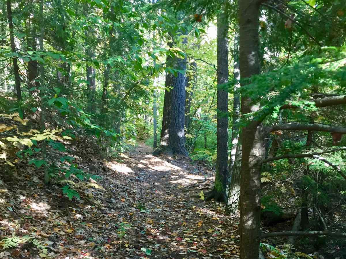 THPLife's tweet image. Home Mountains (And the Gullies That Get Us There)  irunfar.com/2018/10/home-m…