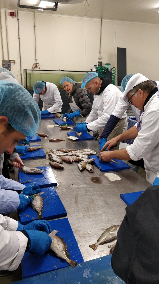 Day 3: Kitchen Basic training for the Seafood Bar Amsterdam. Filleti g &amp; cooking skills <a href="/SeafoodBarAdam/">The Seafood Bar</a>  <a href="/SVO_Opleidingen/">SVOvakopleiding food</a> <a href="/vishandeljva/">Vishandel Jan van As</a>