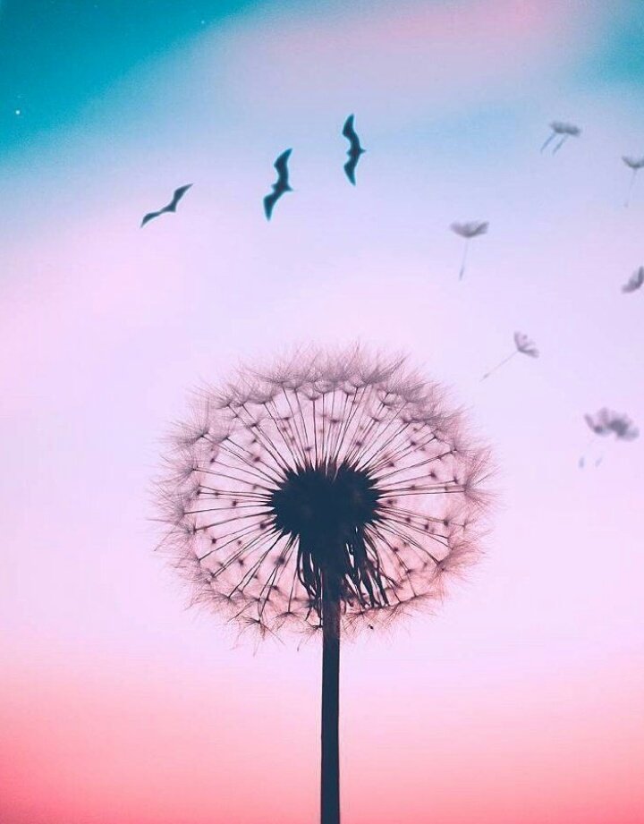 ☄☃🌪 tweet media