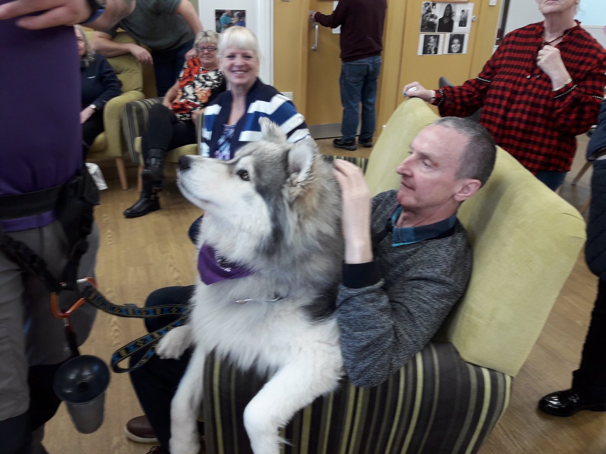 Our service users at Young Dementia Leeds loved this visit from the  gorgeous Thunder the Husky <a href="/TherapyHuskies/">Therapy Huskies</a> smiles all round #animaltherapy #dementia @CommLinksLeeds #huskies