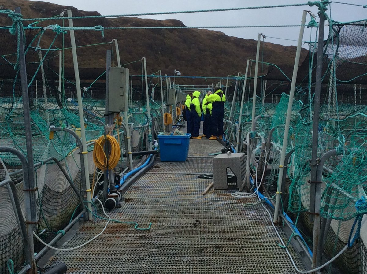 Thank to <a href="/LochDuartSalmon/">Loch Duart Salmon</a> <a href="/Passion2Inspire/">A Passion to Inspire</a> an amazing experience.