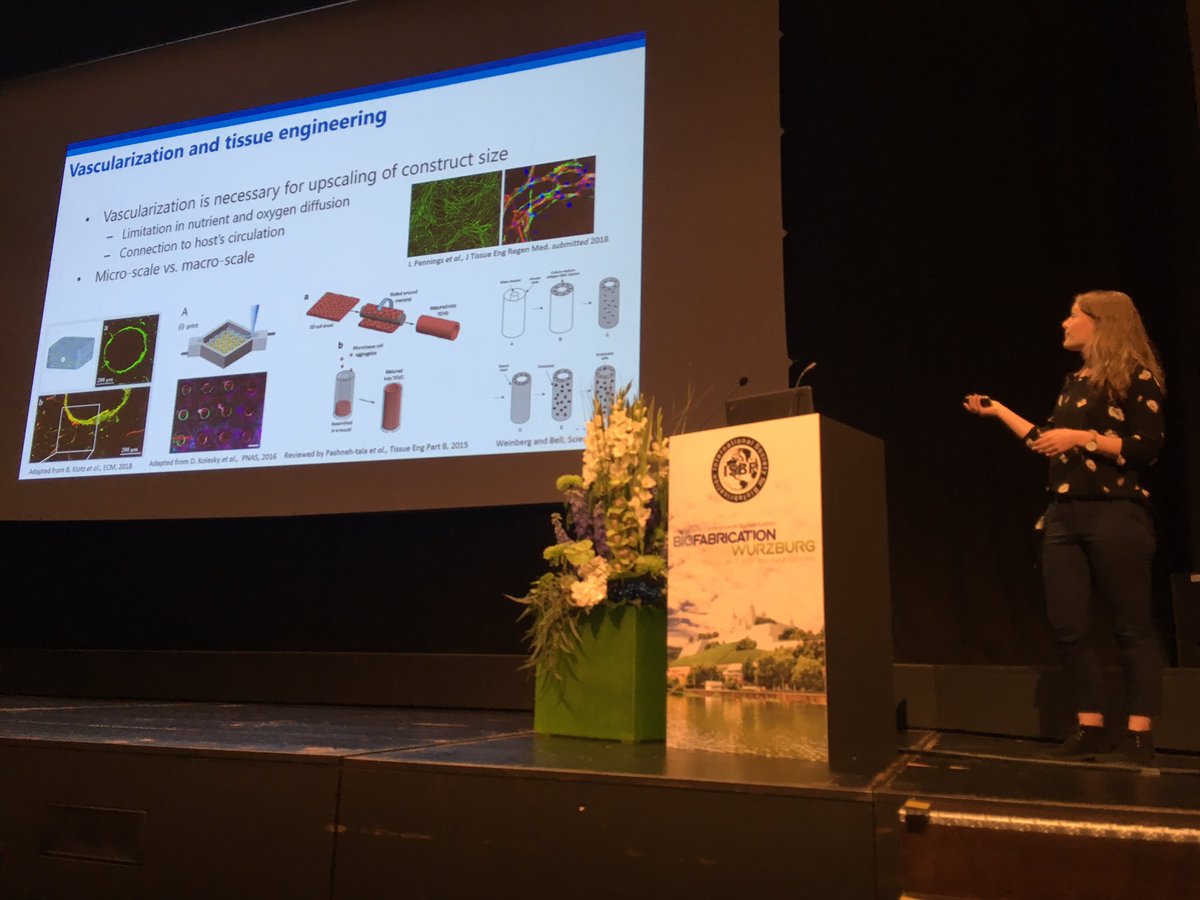 Iris Pennings presenting our work on regeneration of bilayered vascular grafts in collaboration with Prof Groll and T Jüngst @ISBioFab @irispennings @RMUtrecht