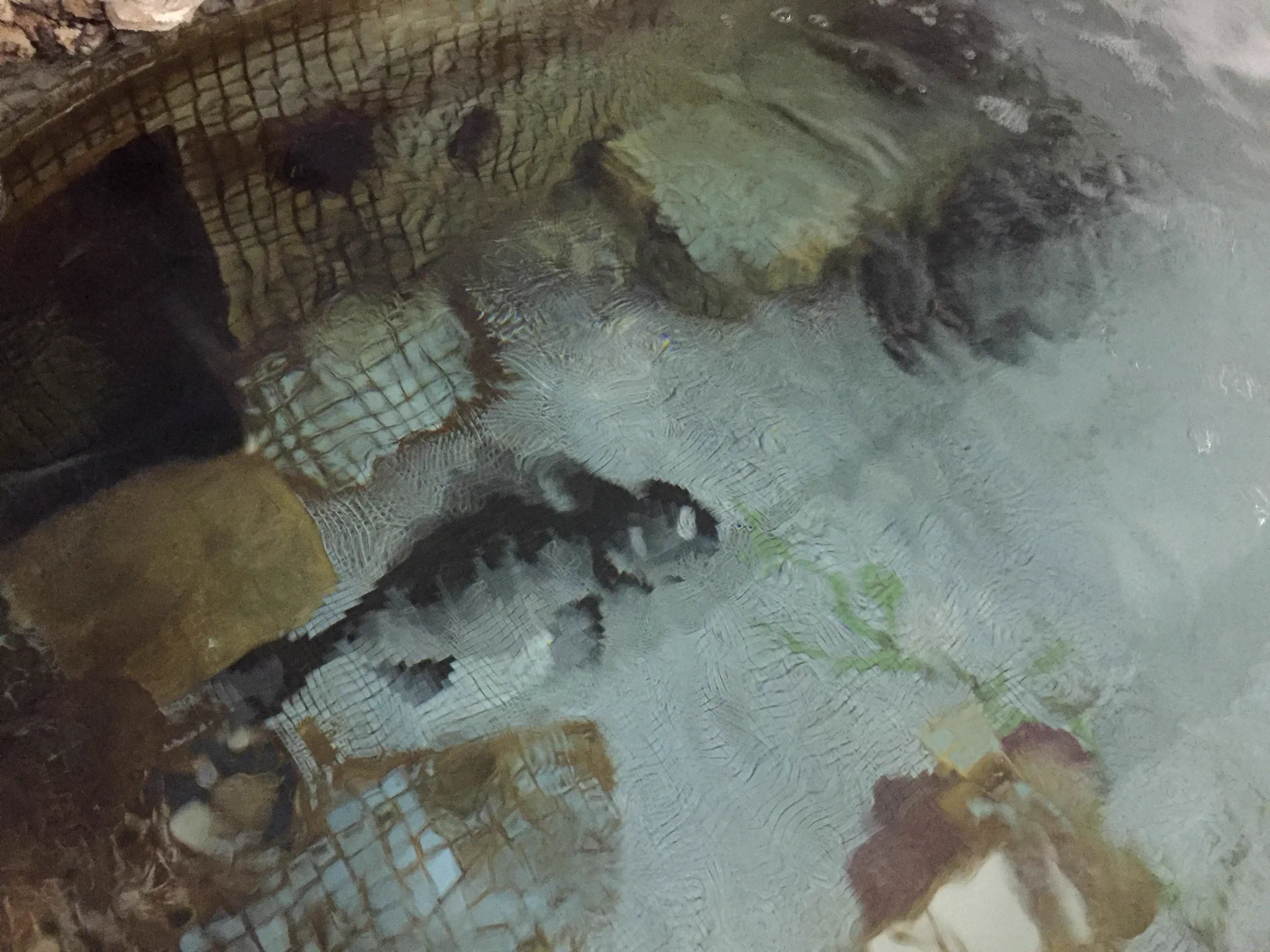レトロでゴージャス‼︎葛飾にある銭湯が粋すぎる！