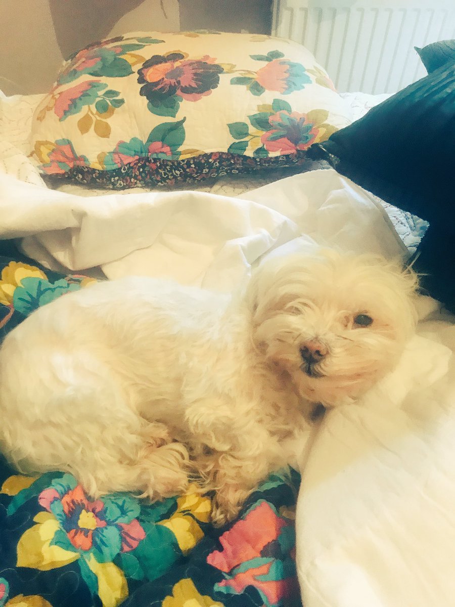 Vida Kids tweet media