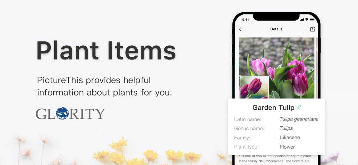 glority's tweet photo. Key Features of PictureThis:
--Identifies thousands of plants, flowers, and trees in under a second 
--Get suggestions and advice from garden and horticulture specialists
--We provide plant care tips and watering reminder setting, help you better grow your lovely plants. https://t.co/bnASu1oEne